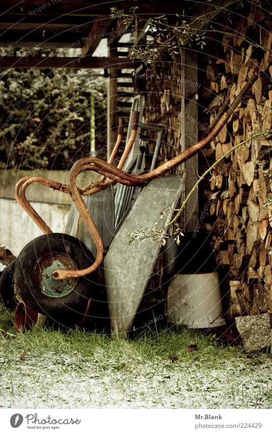 winter time is resting time Garden Winter Ice Frost Snow Freeze Authentic Brown Green White Wheelbarrow Wood Subdued colour Exterior shot Deserted Day