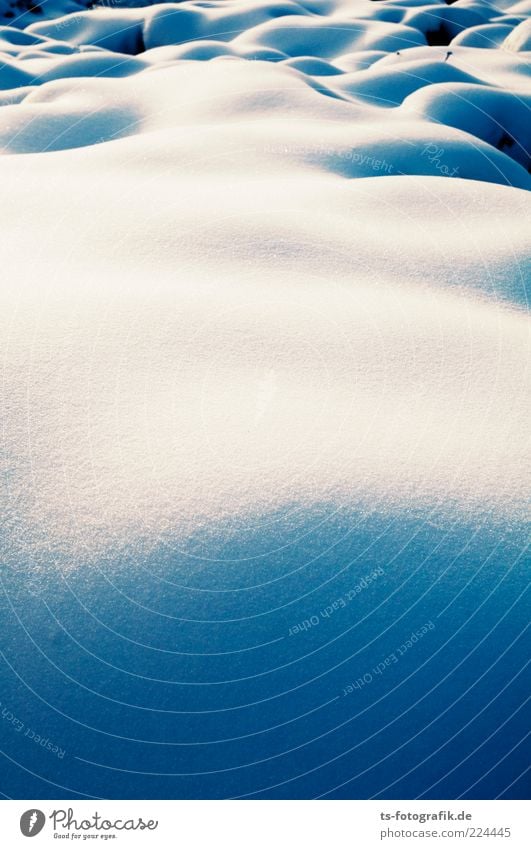 Erotic snowfield Environment Nature Landscape Elements Winter Climate Weather Beautiful weather Ice Frost Snow Cold Round Blue White Curve Snowscape Snow layer