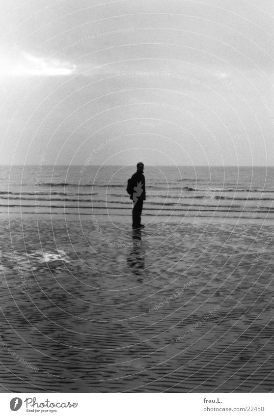 grey in grey Ocean Beach Winter Man Loneliness Cold Waves Low tide Wet Coast Dark St. Peter-Ording Human being North Sea Evening Sand Water