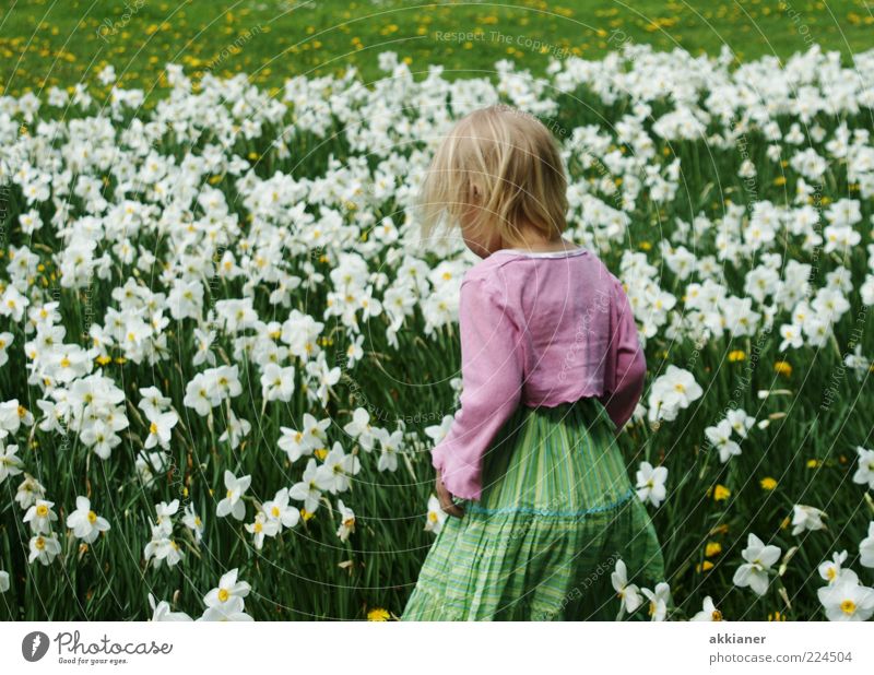 little flower fairy Human being Child Girl Infancy Hair and hairstyles Back Arm Environment Nature Plant Spring Flower Blossom Garden Park Meadow Bright Natural