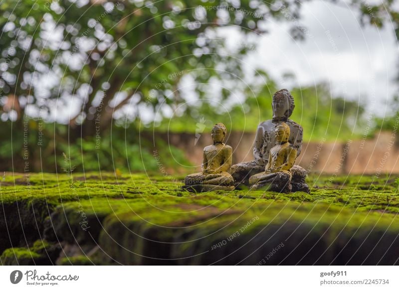 Meditation!!!!! Vacation & Travel Trip Adventure Sightseeing Clouds Tree Sri Lanka Asia Deserted Palace Ruin Wall (barrier) Wall (building) Tourist Attraction