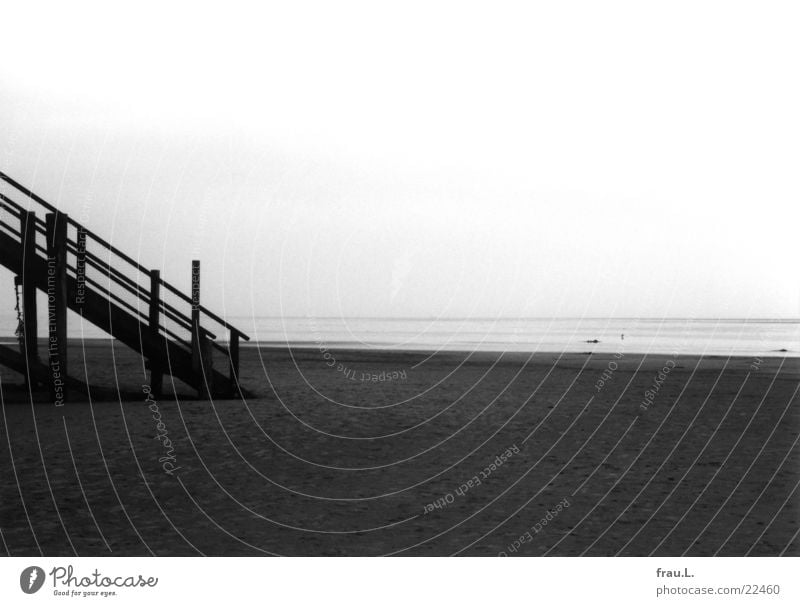 Stairs to the sea St. Peter-Ording Winter Beach Ocean Loneliness Coast Low tide Dark Things North Sea Sand Landscape Gloomy Water High tide Black & white photo