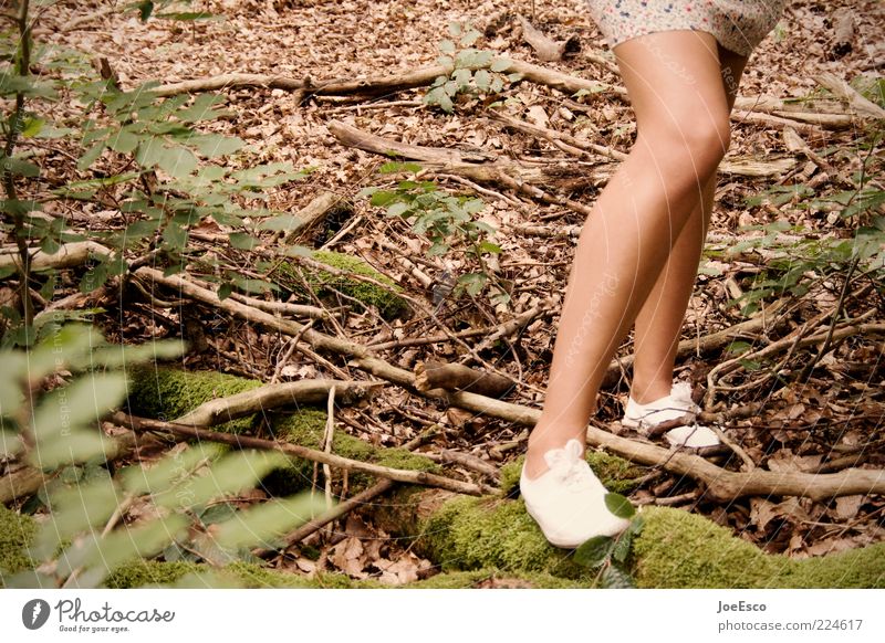 blurred leg. Style Leisure and hobbies Trip Feminine Young woman Youth (Young adults) Woman Adults Life Legs 1 Human being Nature Plant Bushes Moss Forest Skirt