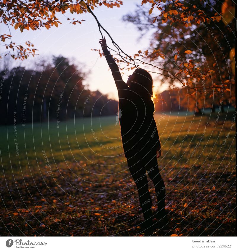 [ 300 ] Reaching out Human being Young woman Youth (Young adults) Woman Adults 1 Environment Nature Landscape Elements Sunrise Sunset Sunlight Autumn Weather