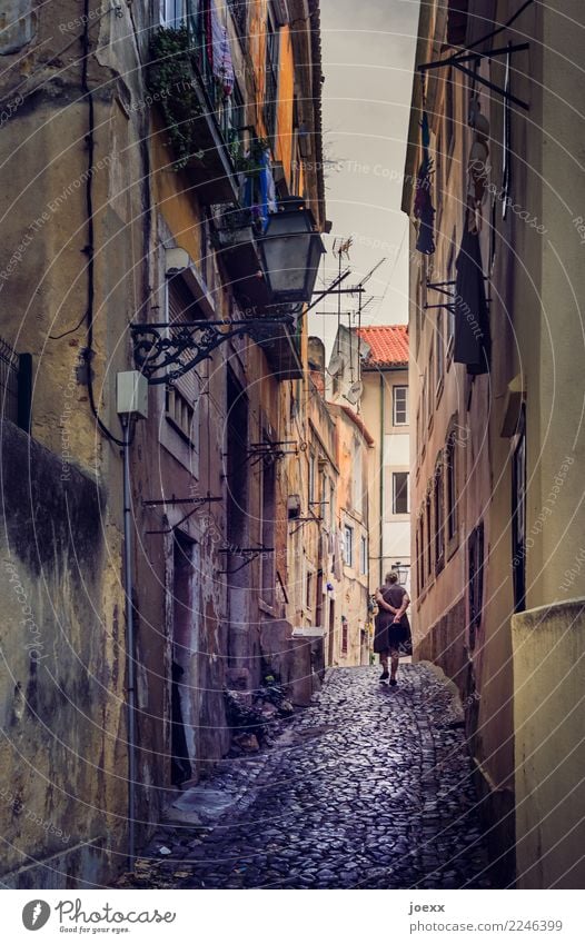 Elderly lady walking home through a narrow alley in Lisbon Woman Going Housewife Town Old town Facades Cobblestones Narrow Lady Portugal stroll Lonely
