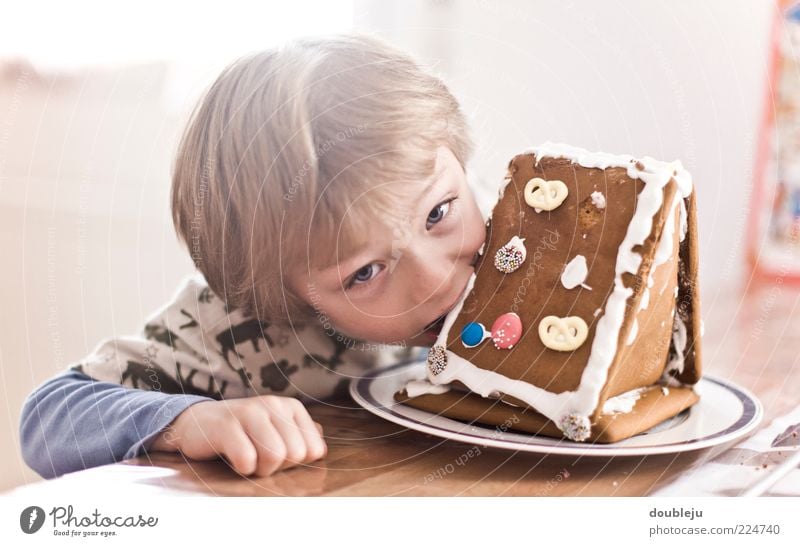 gingerbread bite Boy (child) Child Gingerbread Gingerbread house Nutrition Eating Bite Table Masculine Winter Wood Watchfulness Looking up Direct Plate