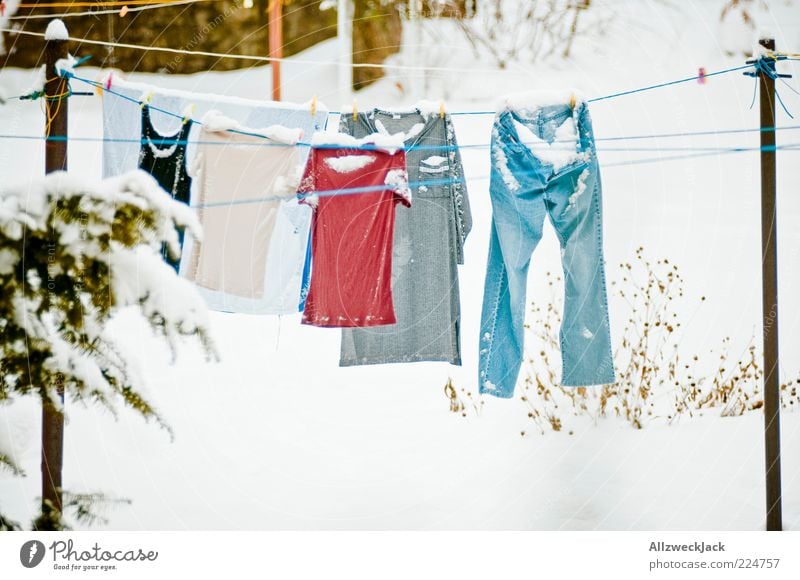 and all of a sudden there was snow... Snow Clothing T-shirt Jeans Underwear Washing Winter Clothesline Colour photo Exterior shot Deserted Day