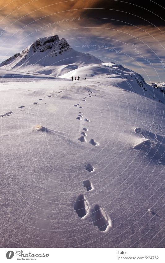 hare trail Vacation & Travel Tourism Winter Snow Mountain Nature Landscape Beautiful weather Rock Alps Peak Snowcapped peak Animal tracks Footprint Relaxation