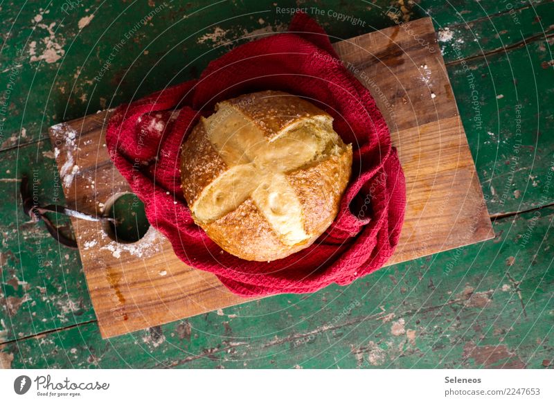 snack Food Dough Baked goods Bread Nutrition Eating Organic produce Vegetarian diet Fresh Healthy Delicious Baking Salt Soft pretzel Laugenbrötchen Colour photo