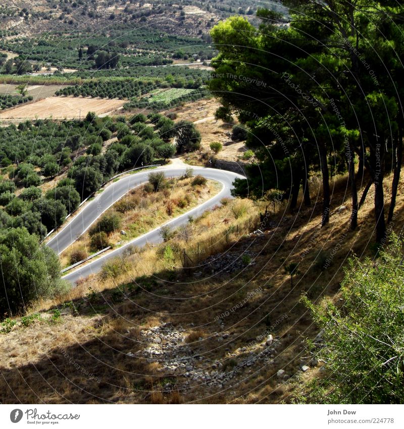Phaistos Vacation & Travel Trip Summer Summer vacation Beautiful weather Plant Tree Grass Bushes Traffic infrastructure Street Narrow Curve hairpin bend Slope