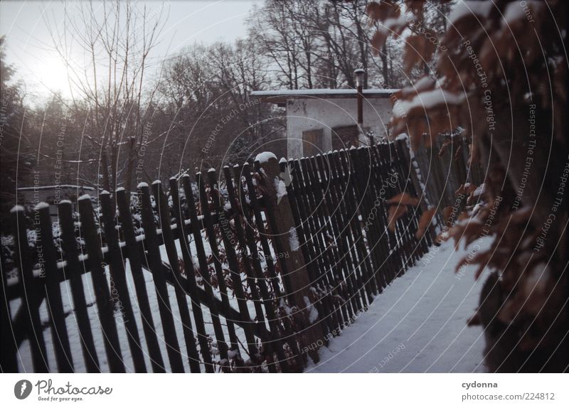 hibernation Nature Winter Ice Frost Snow Garden Hut Loneliness Uniqueness Mysterious Calm Stagnating Lanes & trails Time Garden fence Garden allotments