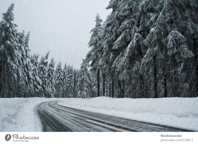 bear with silence Tourism Trip Nature Landscape Winter Climate Ice Frost Forest Transport Traffic infrastructure Street Safety Lanes & trails Thuringia