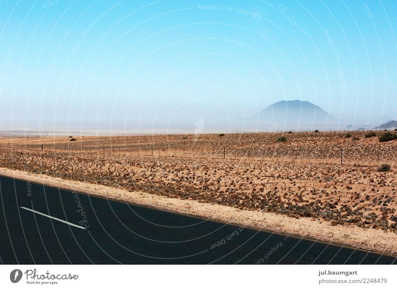 Namibia haze in nowhere Nature Landscape Earth Sand Sky Cloudless sky Horizon Warmth Desert Street Vacation & Travel Colour photo Exterior shot Deserted