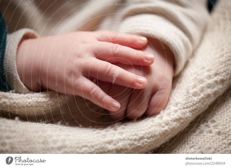 hands Child Baby Toddler Girl Boy (child) Hand 0 - 12 months Sleep Beautiful Cute Happy Contentment Joie de vivre (Vitality) Love Future Safety (feeling of)