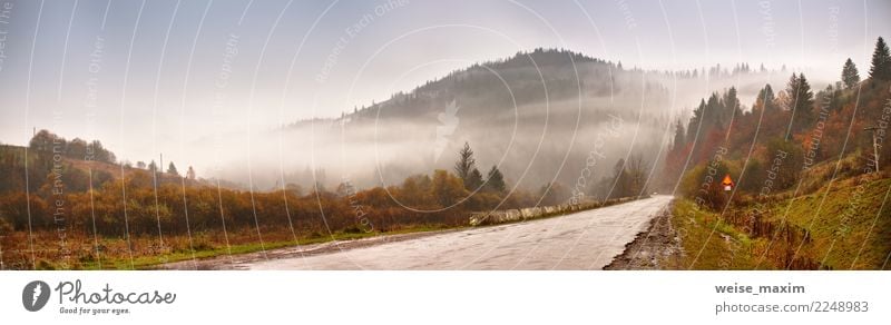 Panorama of road in mountains. Cloudy rainy misty autumn day Vacation & Travel Tourism Trip Adventure Far-off places Freedom Cruise Expedition Mountain Nature