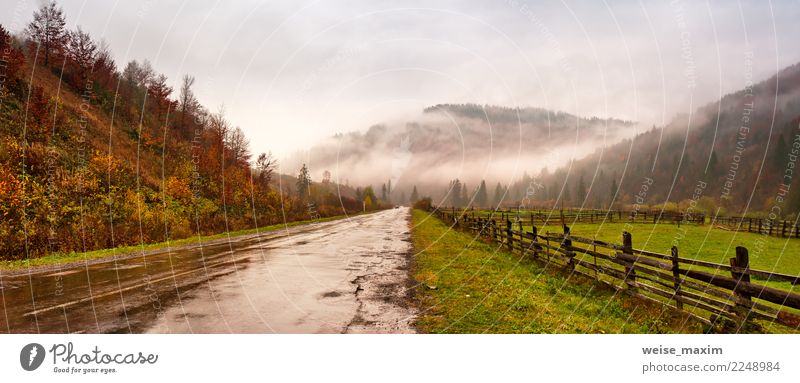 Panorama of road in mountains. Cloudy rainy misty autumn day Vacation & Travel Tourism Trip Far-off places Freedom Expedition Mountain Nature Landscape