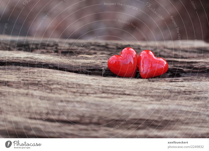 Red Hearts With An Inscription Love Hang On Branches On A Gray Concrete  Background. Love Tree. The Concept Of Valentine's Day. A Symbol Of Love  Stock Photo, Picture and Royalty Free Image.