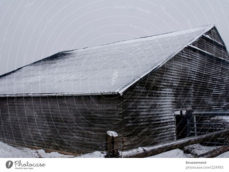 Gimme Shelter Agriculture Farm Barn Winter Weather Snow Building Wood Wooden house Freeze Cold Protection Keeping of animals Roof Fence Deserted Day