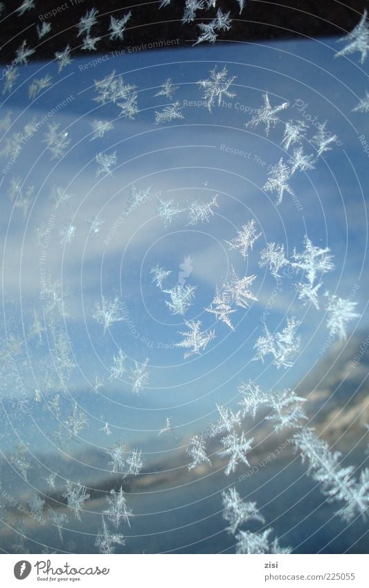 ice flowers Nature Landscape Water Sky Winter Climate Ice Frost Snow Lake Glass Esthetic Glittering Cold Blue White Pure Colour photo Exterior shot Close-up