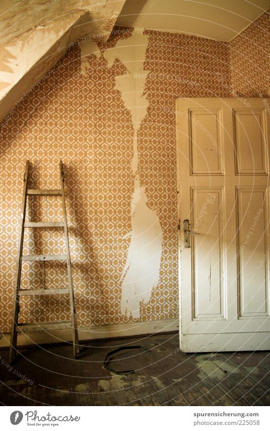 North road 1973 Manmade structures Building Door Old Dirty Authentic Broken Brown Ladder Wallpaper Seventies Retro Wooden floor Ripe for demolition Dismantling