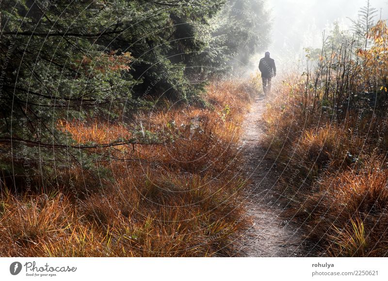 man walks on forest path in fog and sunshine Vacation & Travel Human being Man Adults Nature Landscape Autumn Weather Fog Tree Grass Forest Street