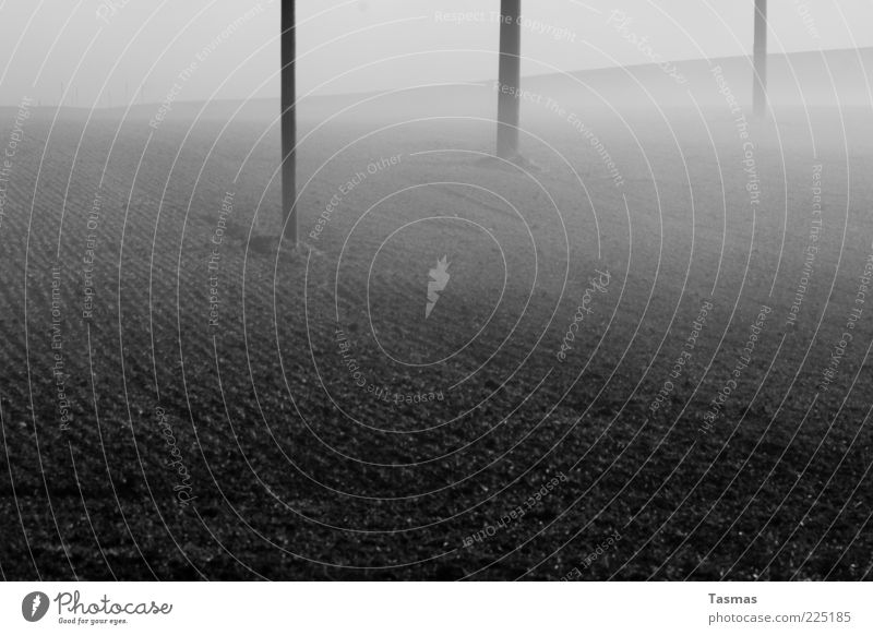 Fog of horror Earth Winter Agriculture Arable land Field Dark Telegraph pole Electricity pylon Black & white photo Exterior shot Deserted Ground fog Morning fog