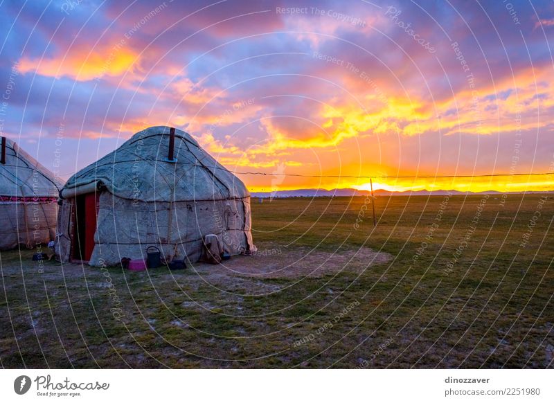 Yurts in sunset, Song Kul, Kyrgyzstan Vacation & Travel Tourism Camping Summer Sun Mountain House (Residential Structure) Culture Nature Landscape Grass Meadow