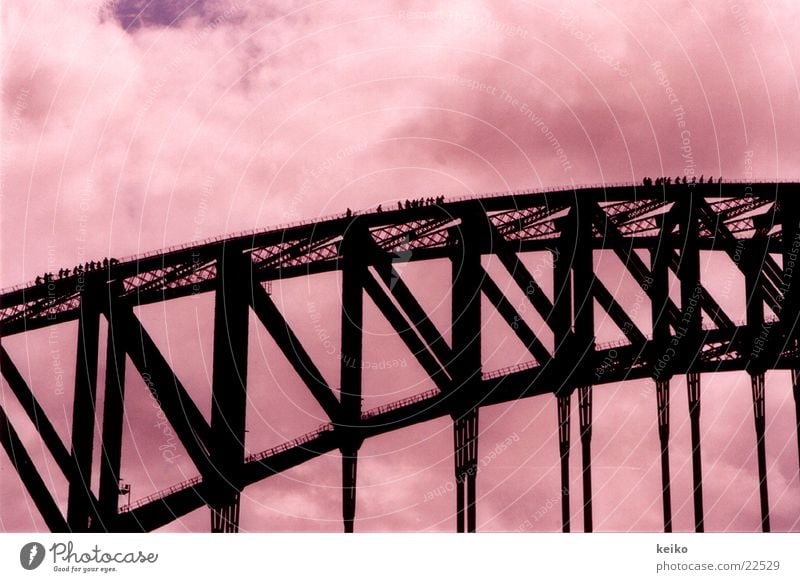 keiko Sydney Australia Bridge Human being bridge ascent