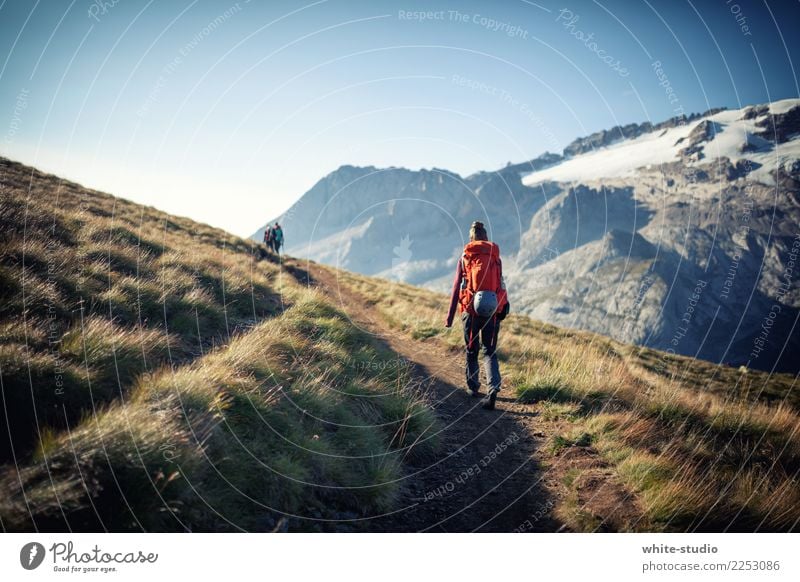 The lonely wanderer Woman Adults Hiking Marmolata Dolomites Lanes & trails Loneliness Resume Backpack Backpacking Backpacking vacation Footpath Going Landscape