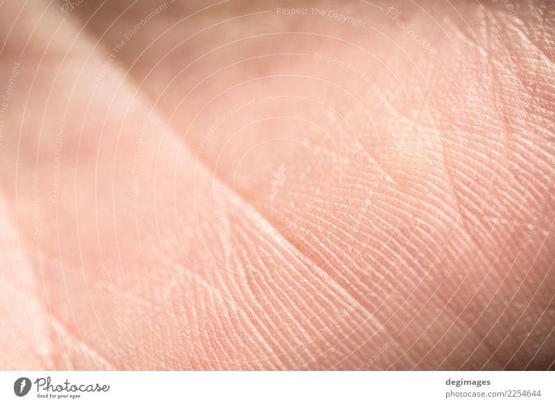 Human skin close up Body Skin Science & Research Human being Man Adults Clean Pink Consistency background health textured dermatology people medicine young