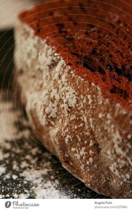 Your chocolate side Dough Baked goods Cake Candy Chocolate Nutrition Large Brown Appetite Confectioner`s sugar Colour photo Close-up Copy Space bottom Deserted