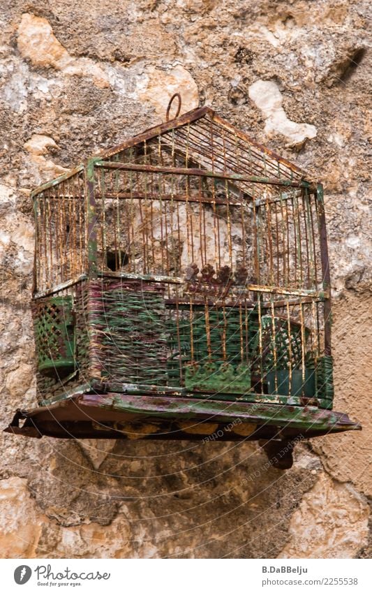 flown out Bird Old Italy Sicily Bird's cage Cage Empty Antique Colour photo Exterior shot Deserted