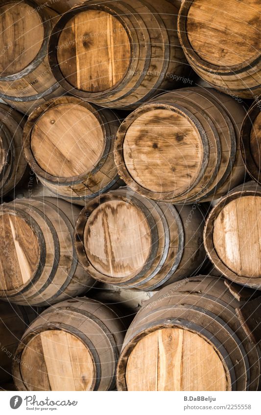 Beautifully stacked, old wooden barrels stacked one on top of the other or from above? Keg Old Exterior shot Vine Wine cask Colour photo Deserted