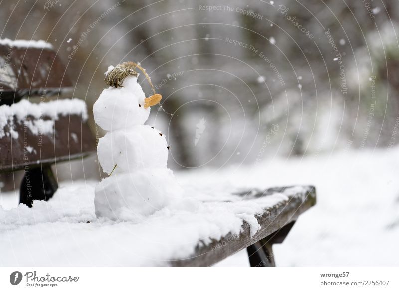 winter construction site Leisure and hobbies Winter Cold Small Brown White Snowfall Snowman Park bench Colour photo Subdued colour Exterior shot Close-up