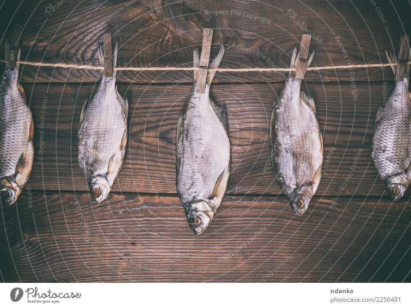 fish ramming in scales Fish Seafood Nutrition Rope Animal Wood Hang Natural Above Retro Brown Consistency background dry board Gourmet Roach Rustic empty space