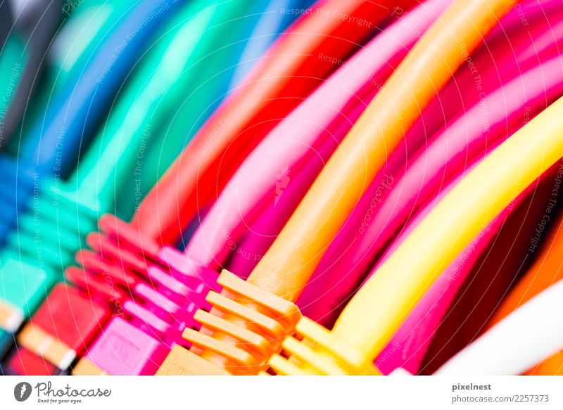 Colourful network cables Office Telecommunications To talk Information Technology Internet provider Computer Hardware Cable Net Network Communicate Yellow Pink