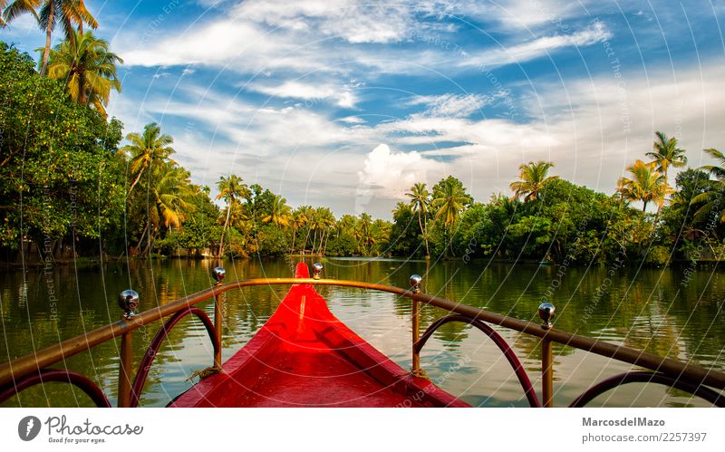 Kerala backwaters, India. Vacation & Travel Tourism Adventure Summer Sailing Nature Landscape Water Beautiful weather Warmth Tree Lake River Transport