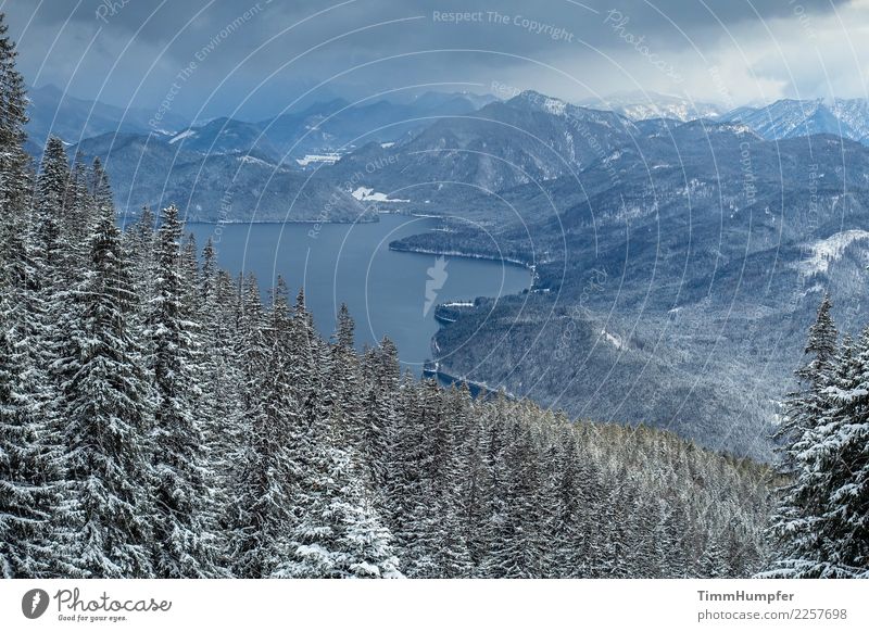 The Cold Adventure Winter Snow Mountain Hiking Nature Landscape Water Storm clouds Bad weather Wind Gale Snowfall Alps Peak Snowcapped peak Moody Optimism