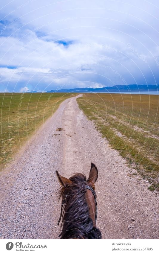 From the horse back, Kyrgyzstan Lifestyle Leisure and hobbies Vacation & Travel Summer Mountain Sports Nature Landscape Animal Grass Park Meadow Lake Transport
