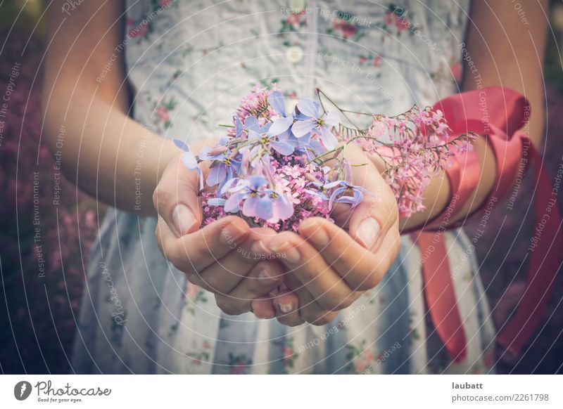 Flowers for you Manicure Woman Adults Hand Lilac Bouquet String Knot Blossoming Feasts & Celebrations Friendliness Feminine Acceptance Agreed Loyal