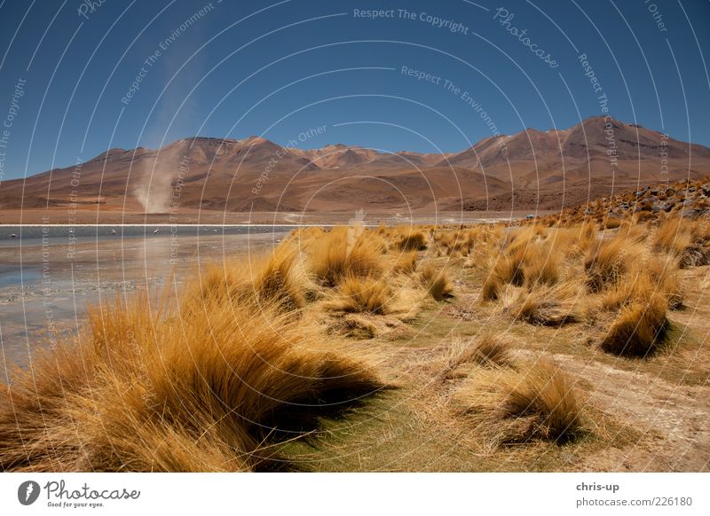 Lagoon and compass rose Far-off places Freedom Safari Expedition Mountain Environment Nature Landscape Weather Wind Gale Andes Lake Desert South America