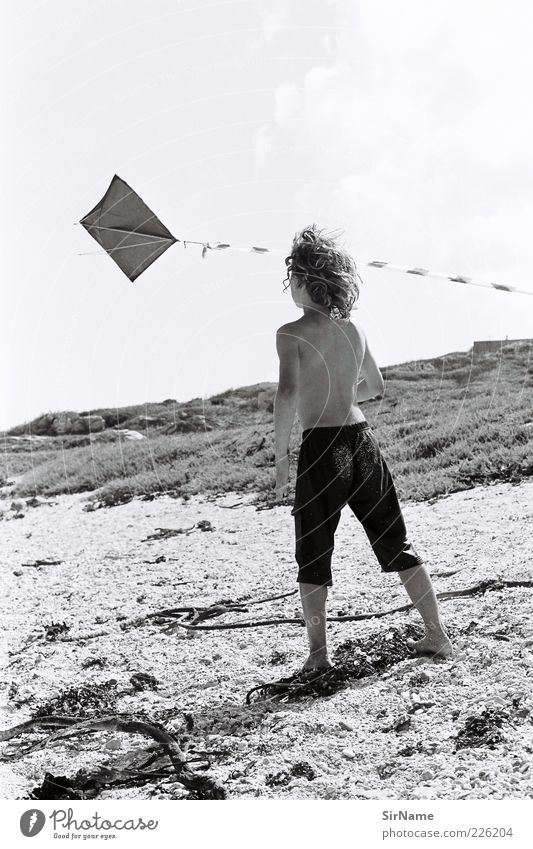 139 [Childhood Dreams II] Playing Children's game Hang gliding Vacation & Travel Freedom Summer Summer vacation Beach Boy (child) Infancy 3 - 8 years Wind