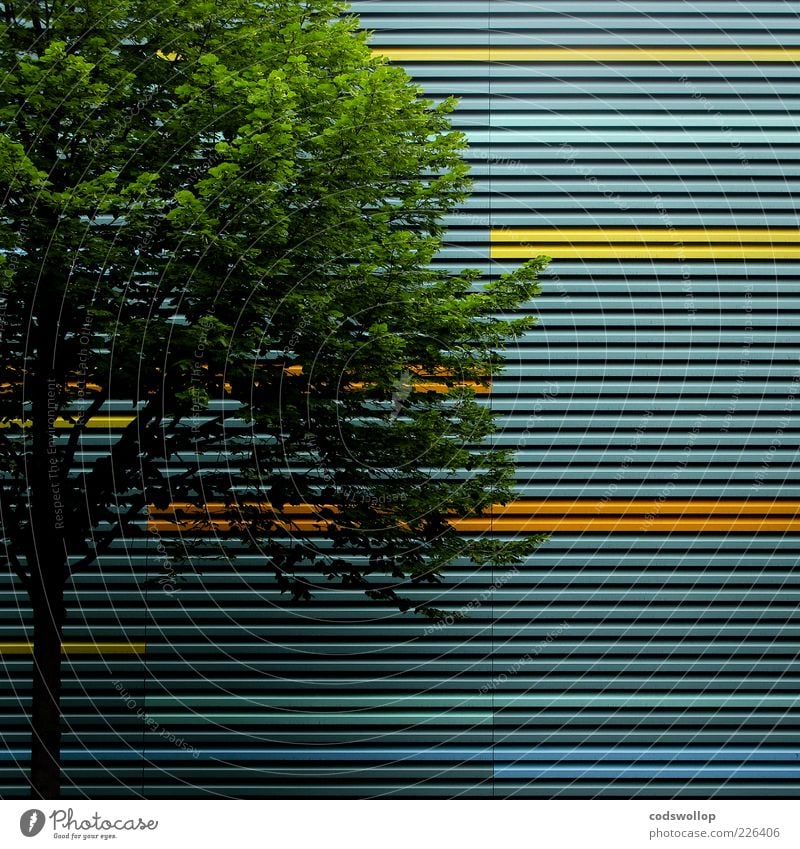 differential geometry Environment Summer Tree Manmade structures Building Facade Esthetic Green Geometry Line Structures and shapes Colour photo Exterior shot