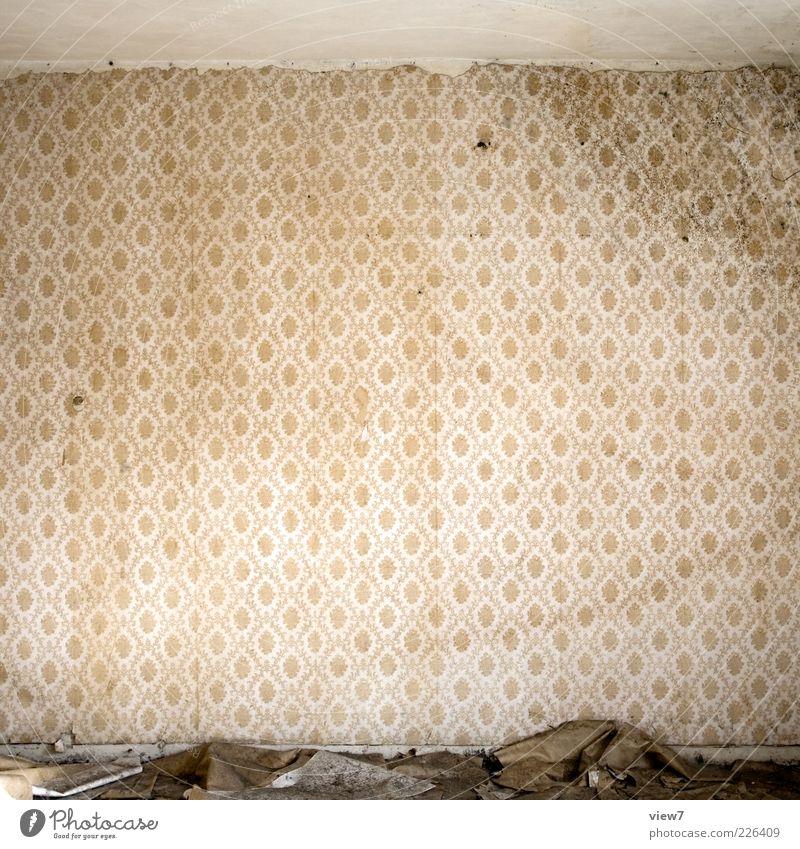 slightly wavy Wallpaper Room Wall (barrier) Wall (building) Ornament Old Dirty Dark Authentic Simple Broken Retro Cliche Trashy Loneliness Decline Past