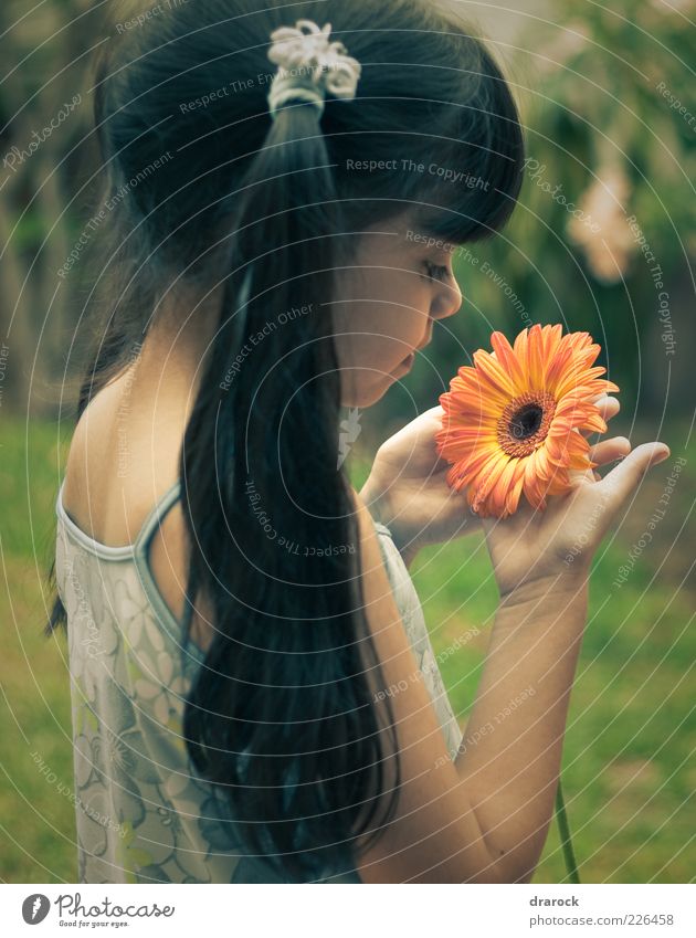 Pretty girl, pretty flower Joy Infancy 1 Human being Nature Plant Flower Blossom Gerbera Garden Dress Brunette Long-haired Bangs Beautiful Cute Yellow Green