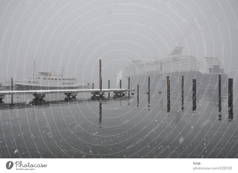 # Rain on a cold day # Ocean Winter Snow Water Snowfall Harbour Cruise liner Ferry Watercraft Gray Snowflake Kiel Subdued colour Fog Haze Mooring post