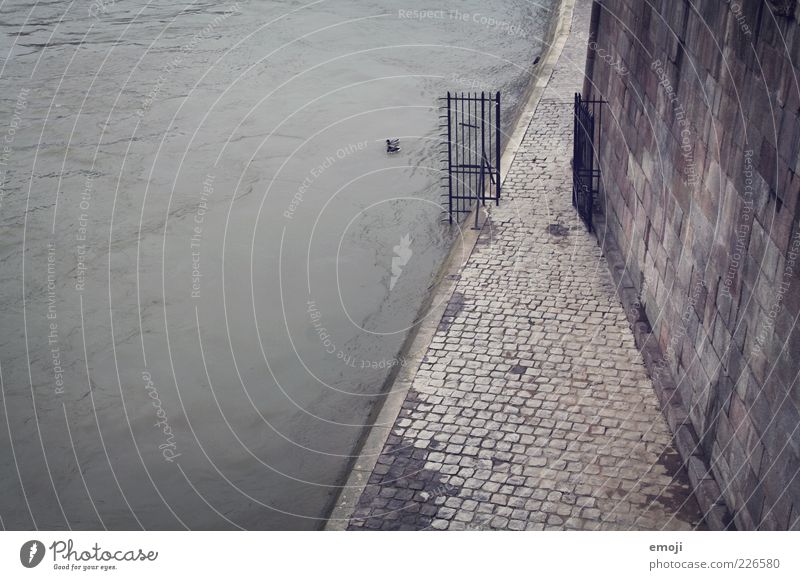 Seine Autumn Winter River bank Dark Cold Gloomy Gray Sidewalk Wall (building) Wall (barrier) Gate Water Paving stone Narrow Sadness Colour photo Subdued colour