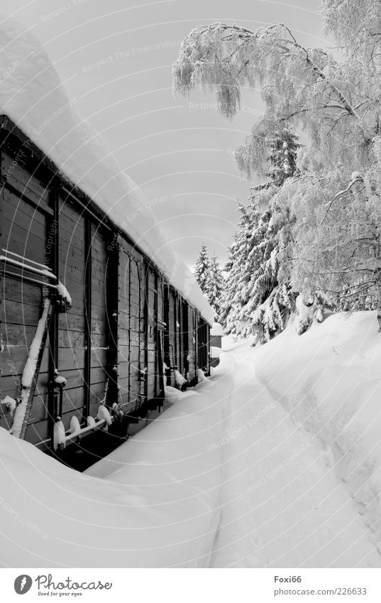snow express Winter Snow Ice Frost Tree Deserted Train station wagon Vintage car Railroad Freight train Platform Wood Steel Rust Black White Enthusiasm Discover