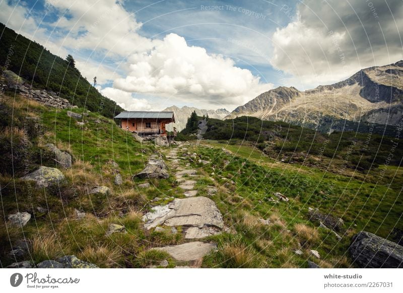 mountain hut Healthy Leisure and hobbies Summer Summer vacation Sun Mountain Hiking Hill Alps Alpine hut Panorama (View) Hut Chalet vacation mountain holiday