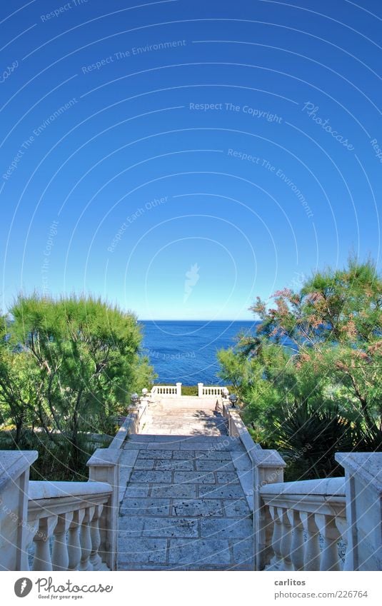 Experience the sea Water Cloudless sky Summer Beautiful weather Plant Bushes Garden Coast Ocean Stairs Terrace Esthetic Handrail Vantage point Mediterranean